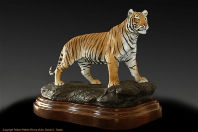 Full Size Life Like Bengal Tiger Statue — AllSculptures